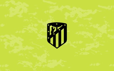 安博体育-以色列篮球球星投资电竞战队